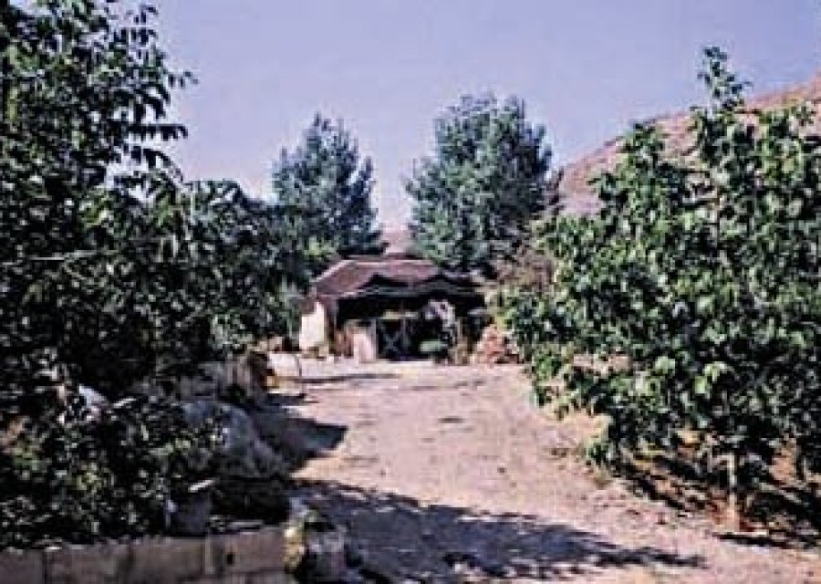 Bayti 5